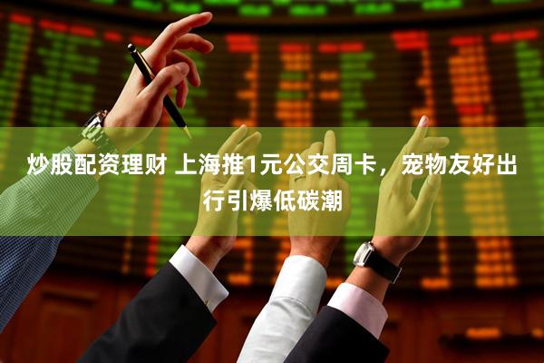 炒股配资理财 上海推1元公交周卡，宠物友好出行引爆低碳潮