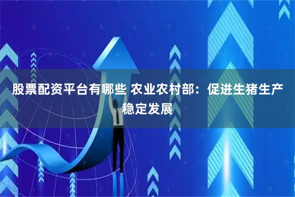 股票配资平台有哪些 农业农村部：促进生猪生产稳定发展